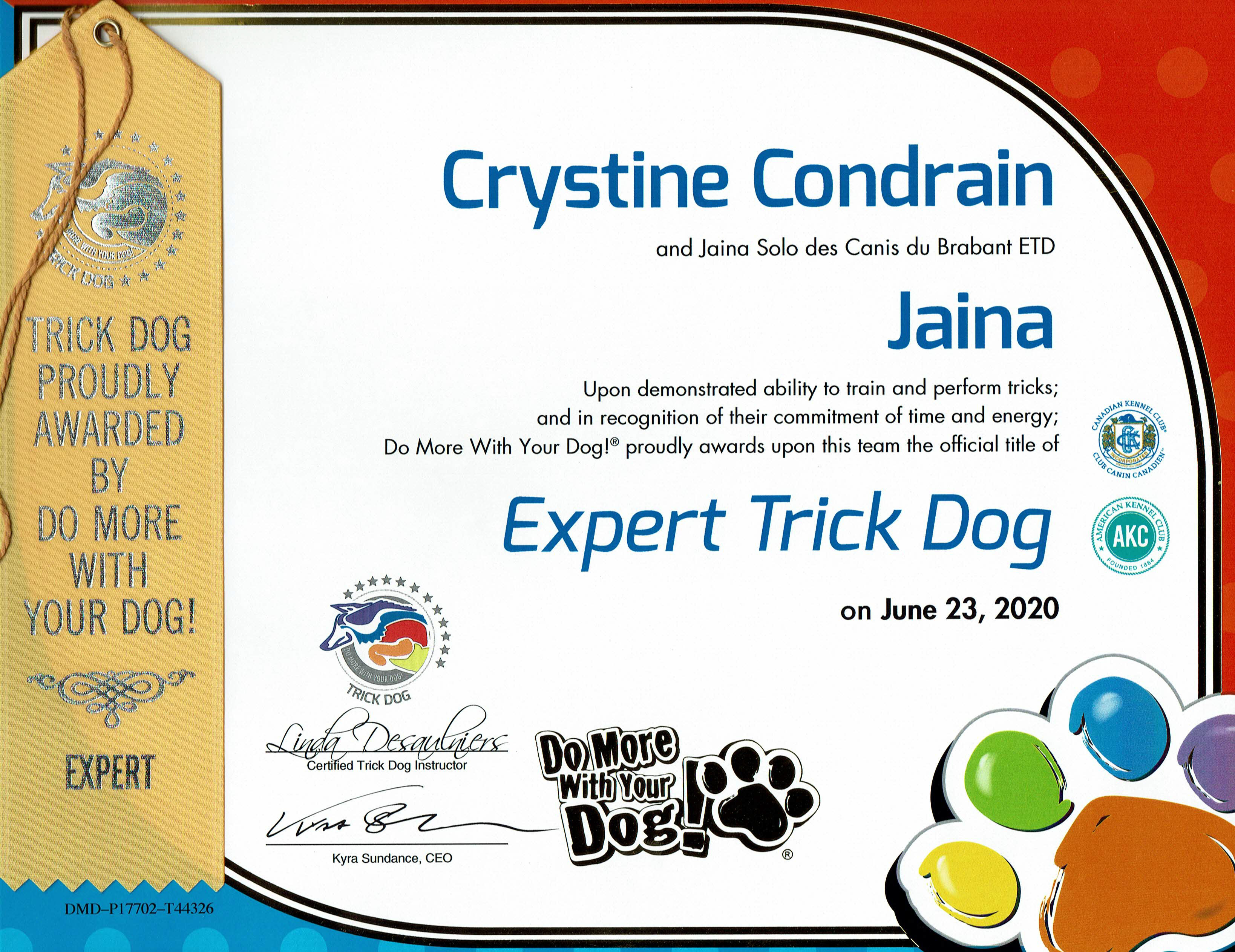 Certificat "Trick Dog" - Expert - Jaina 2020